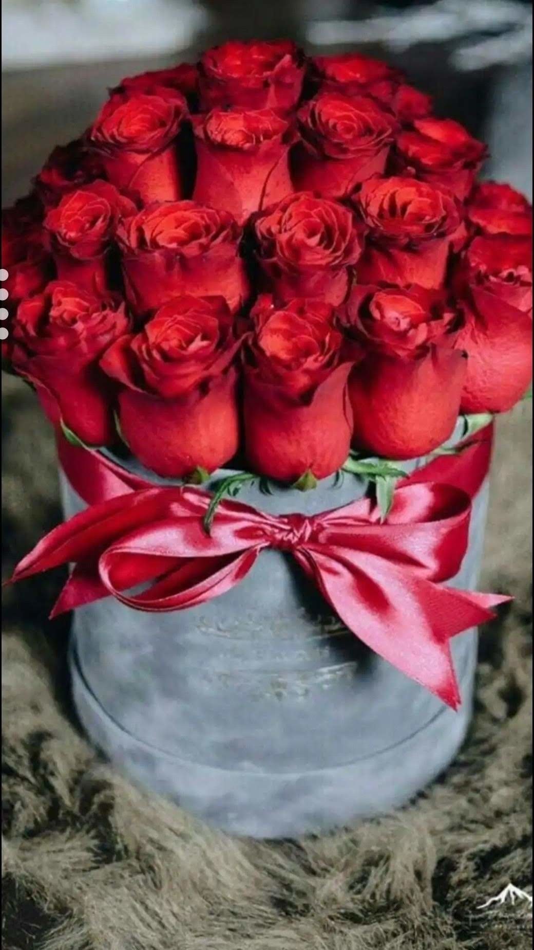 Red roses bucket фото изображения и картинки