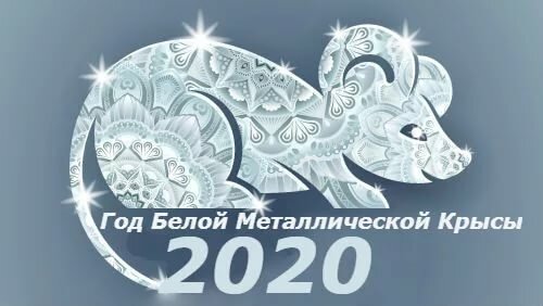 2020 год белой металлической крысы фото