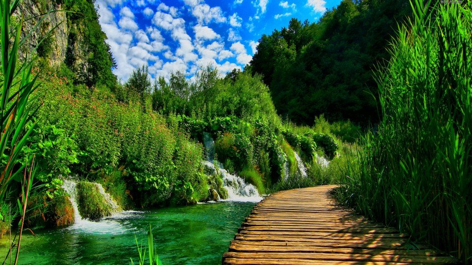 4k wallpapers природа фото