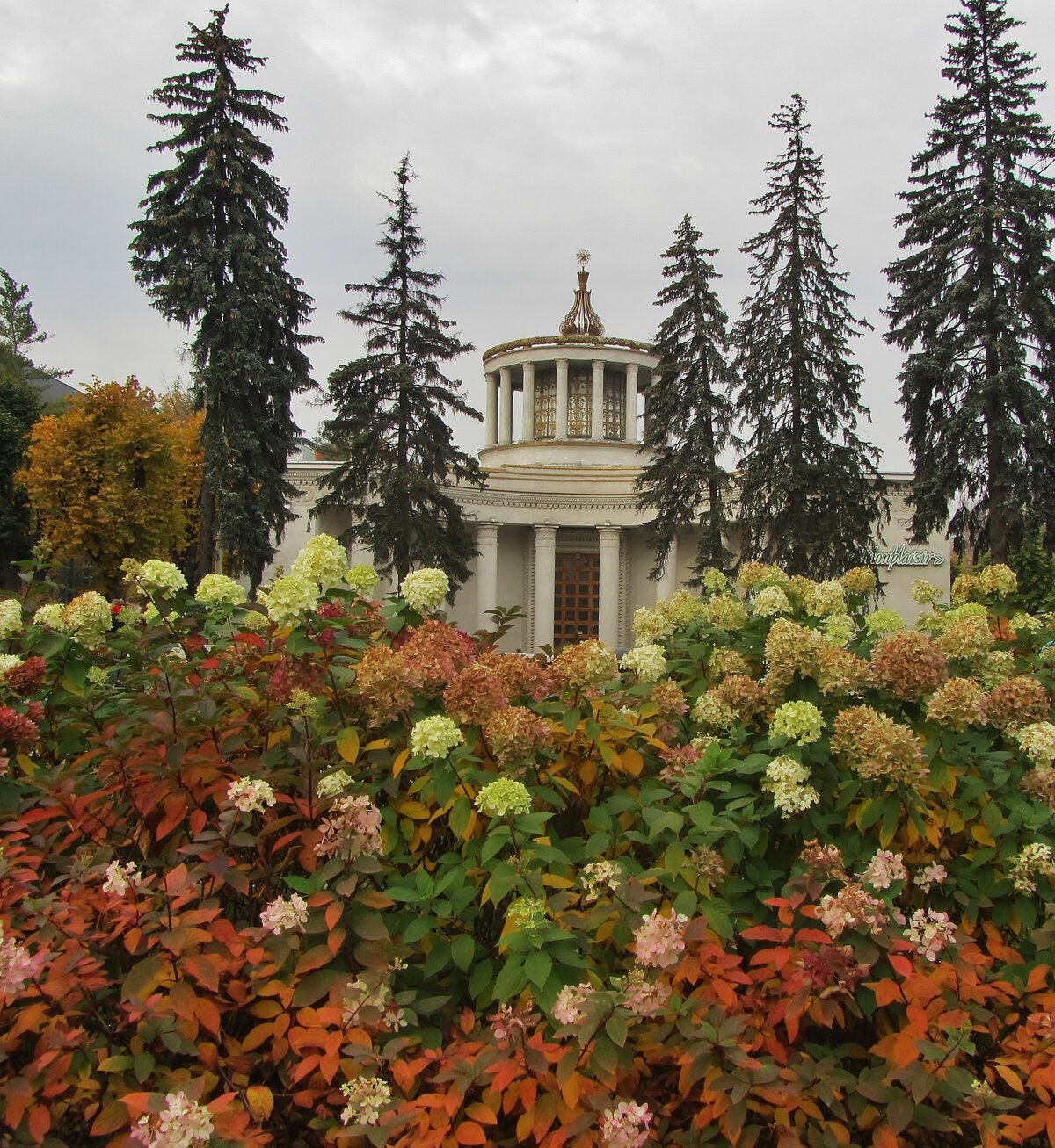 60 павильон вднх фото