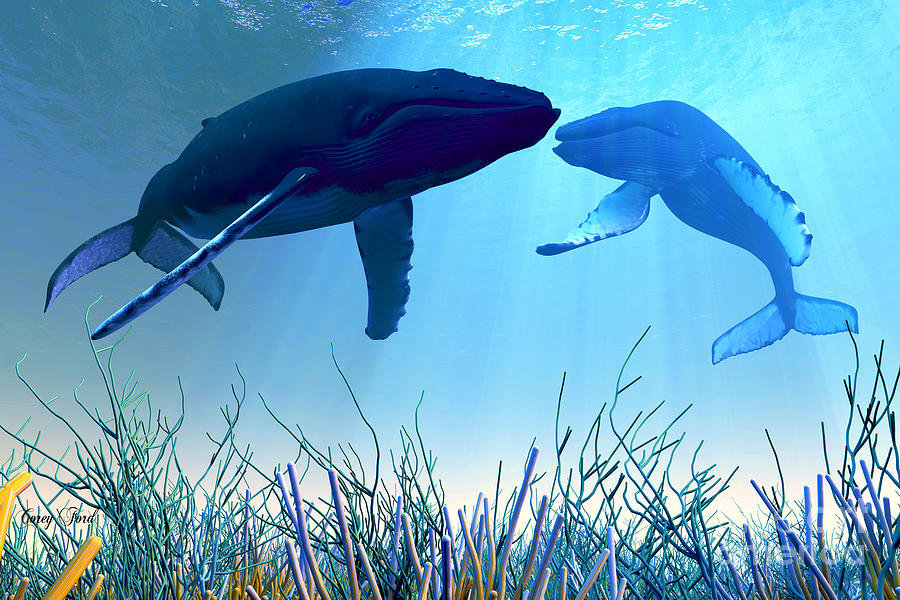 abzu кит фото