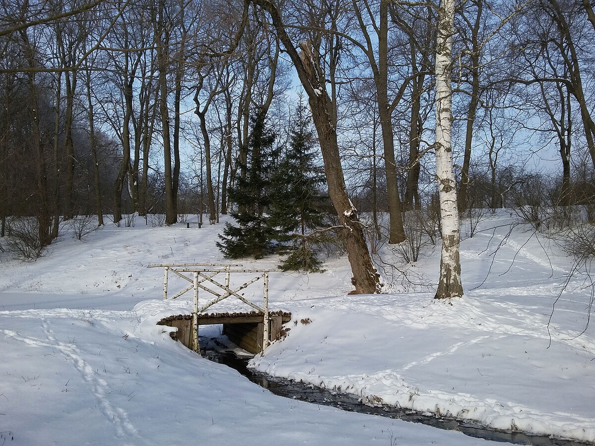 александровский парк зима фото