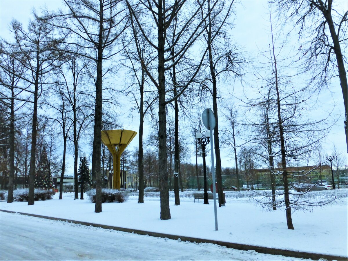 аллея славы лужники фото
