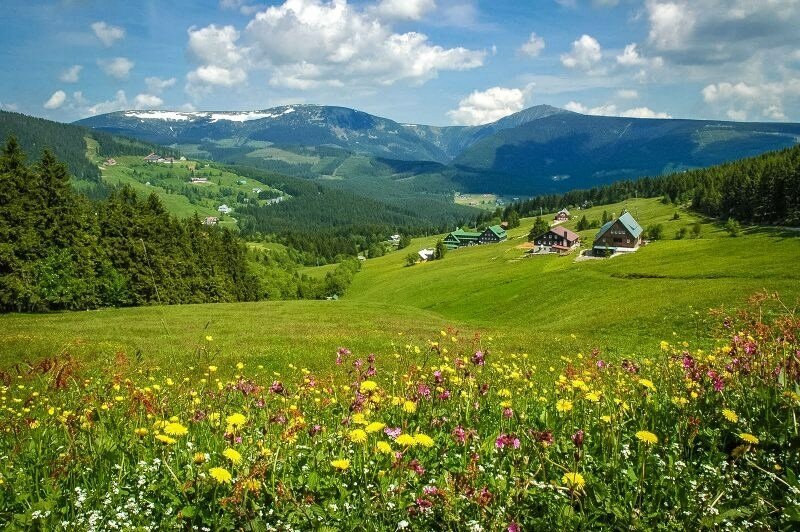 альпийские луга фото
