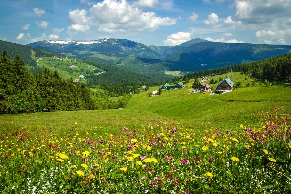 альпийские луга фото