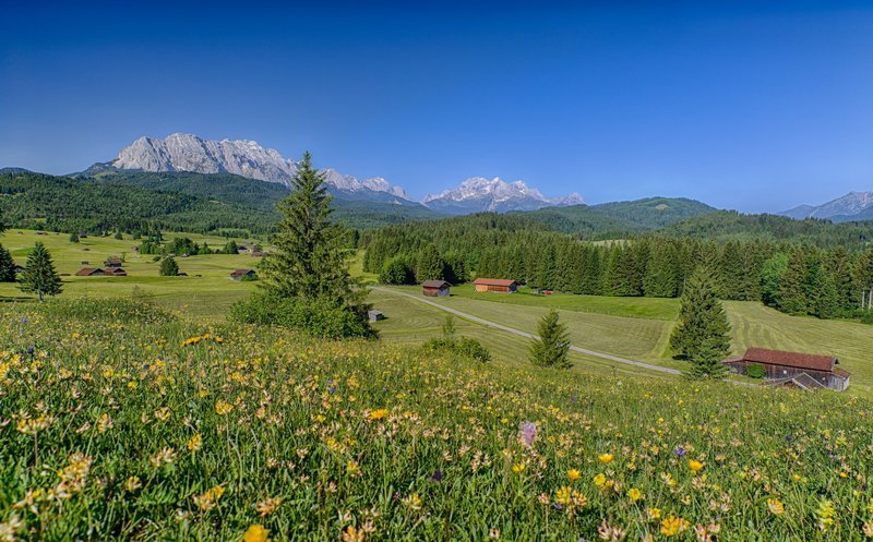 альпийские луга альпы фото