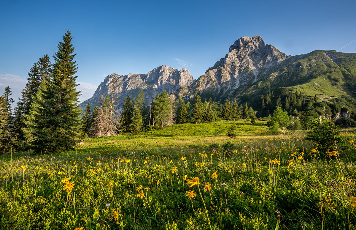 альпийские луга австрия фото