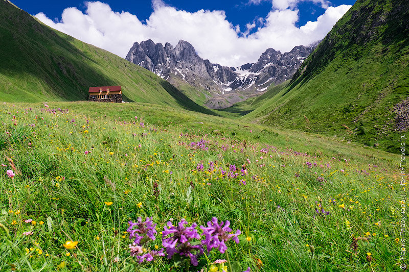 альпийские луга грузия фото