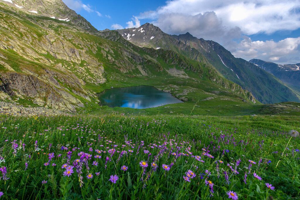 альпийские луга кавказа фото