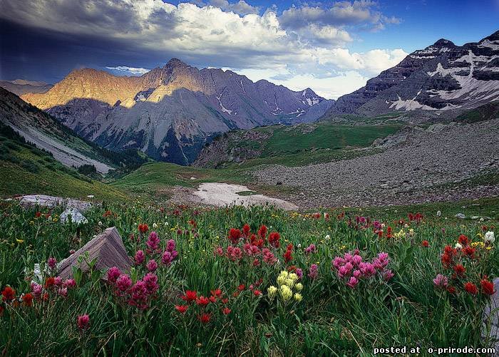 альпийские луга теберды фото