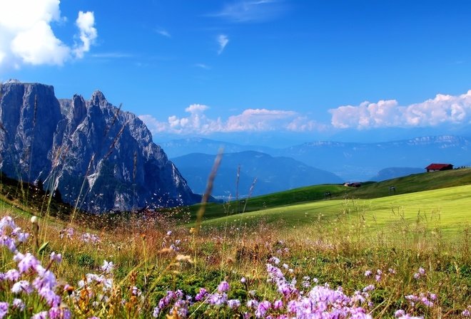 альпийский луг фото