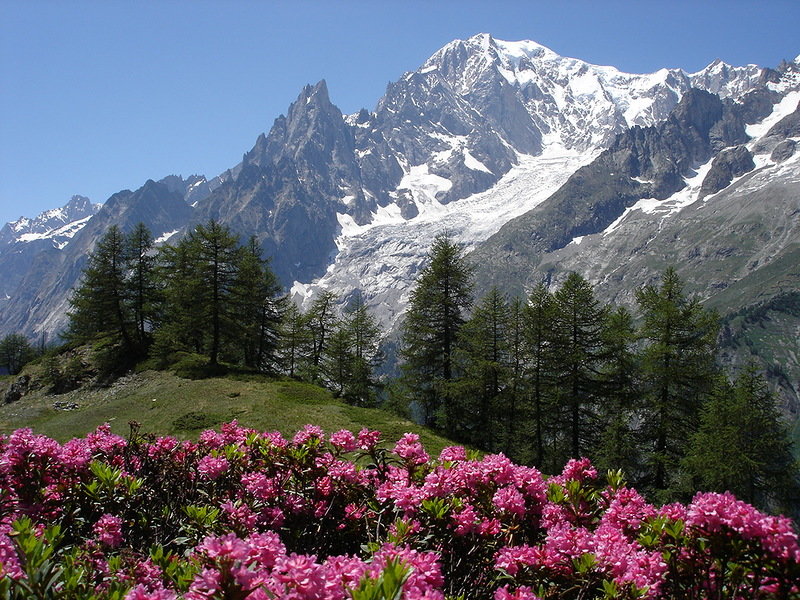 альпы италия фото