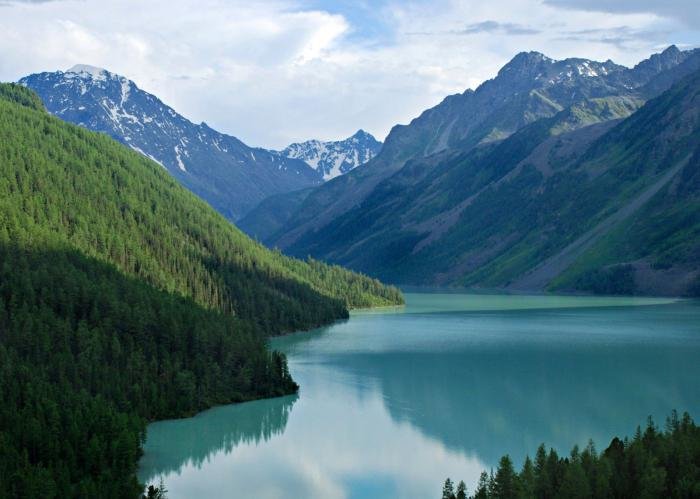 алтай кучерлинское озеро фото
