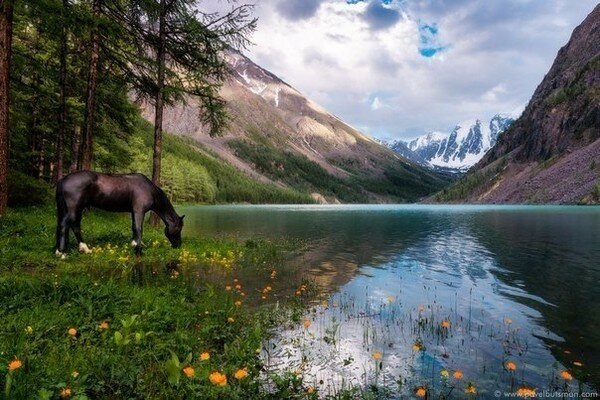 алтай летом фото