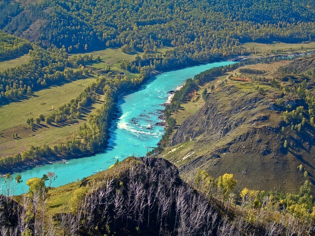 алтай река катунь фото