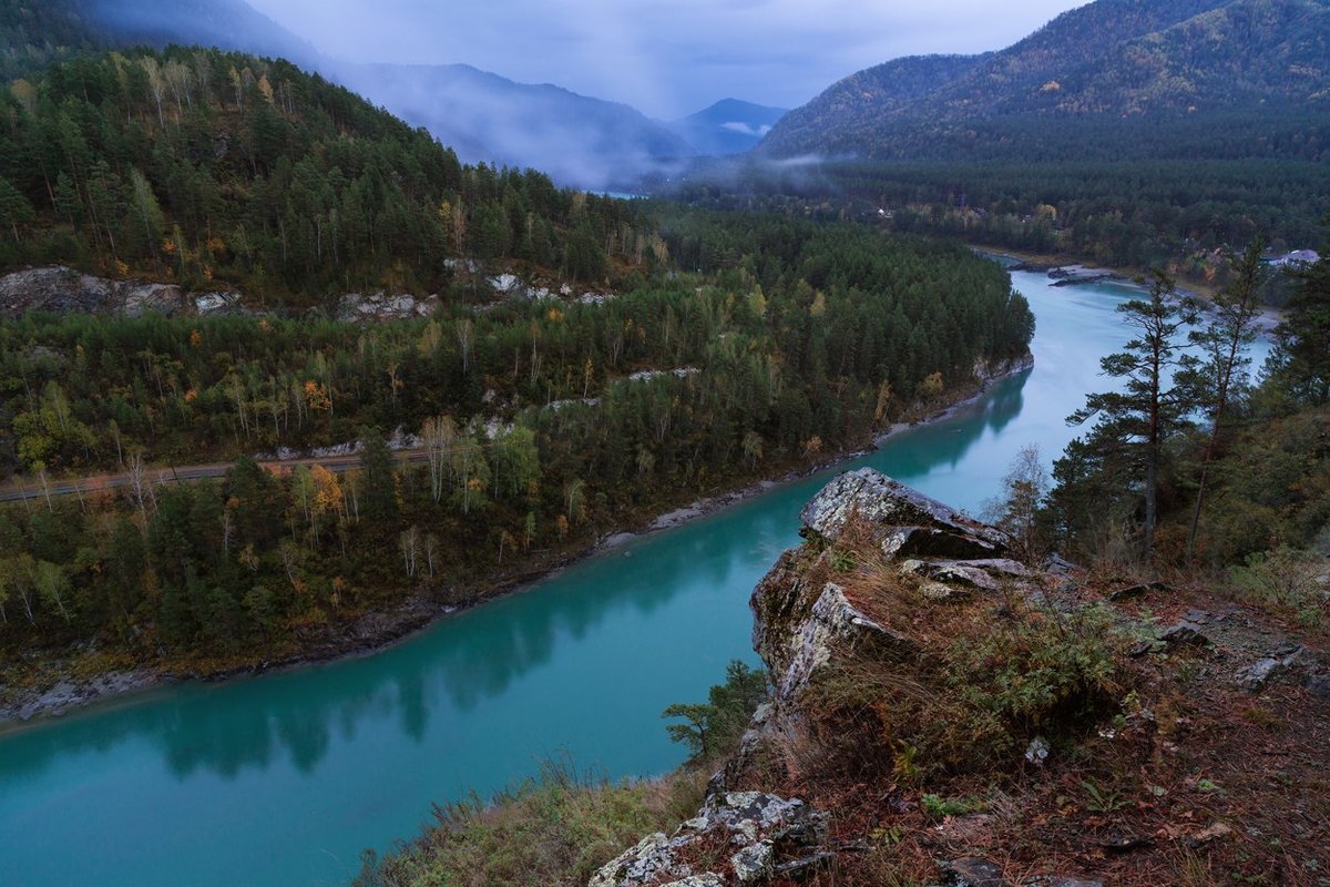 алтай река катунь фото