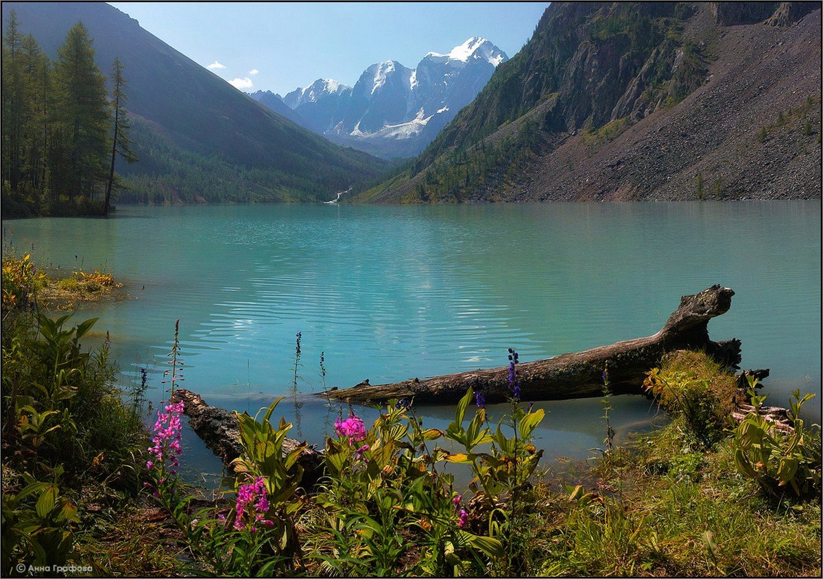 алтай шавлинские озёра красавица фото