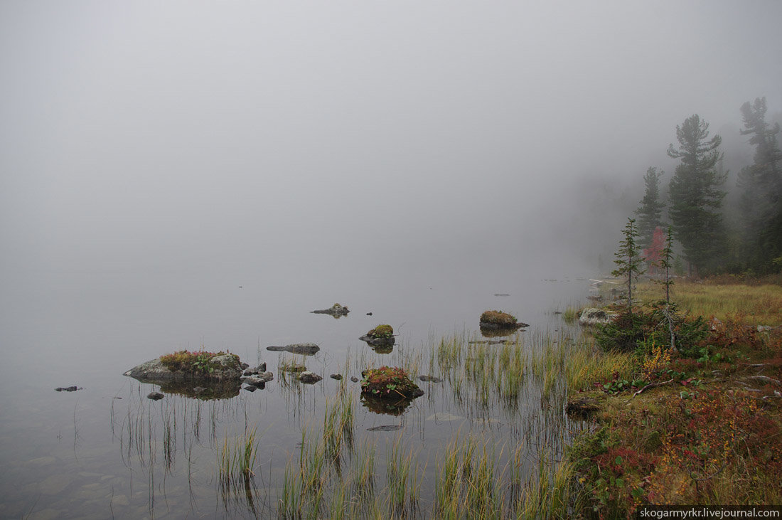 алтай туман фото