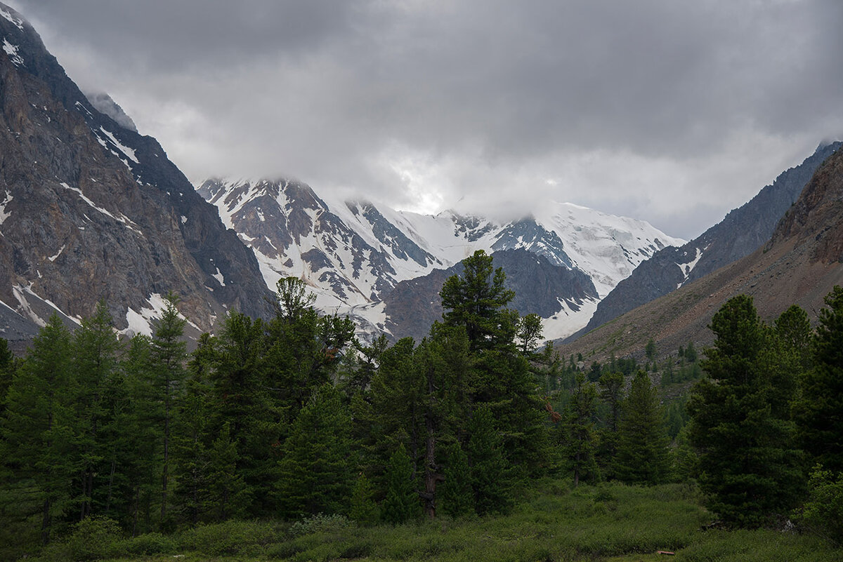 алтай ущелье актру фото
