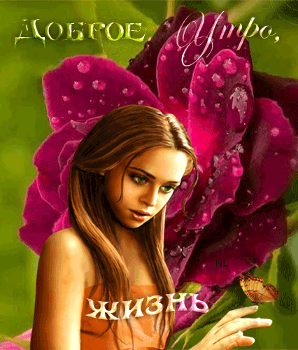 анимационные открытки фото