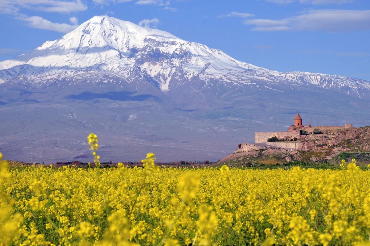 арарат гора армения фото