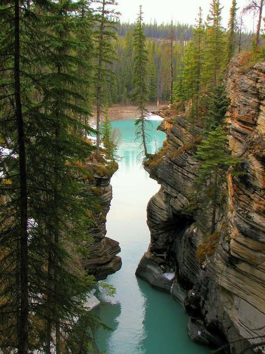 athabasca canyon фото