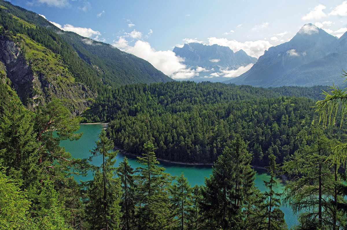 австрия горы леса фото