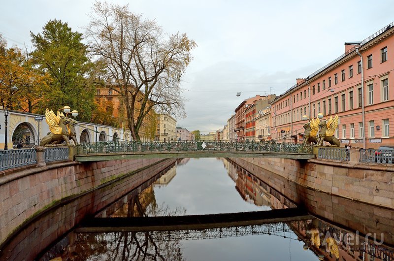 банковский мост в санкт петербурге фото