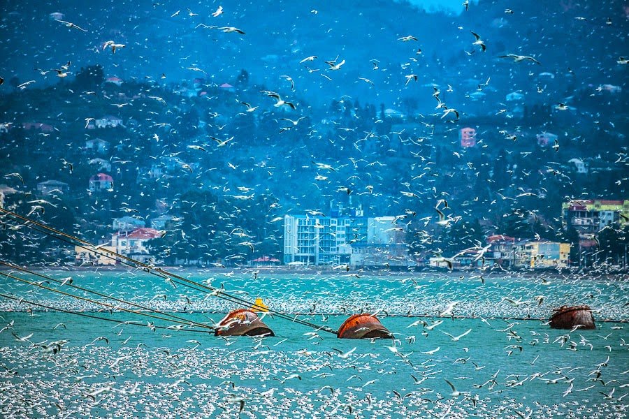 батуми море фото