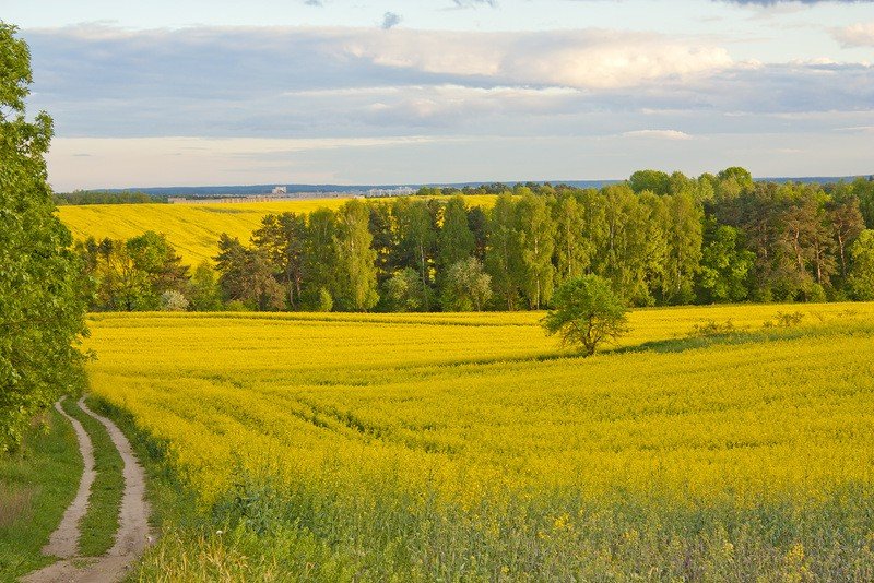 белоруссия картинки белорусской природы фото
