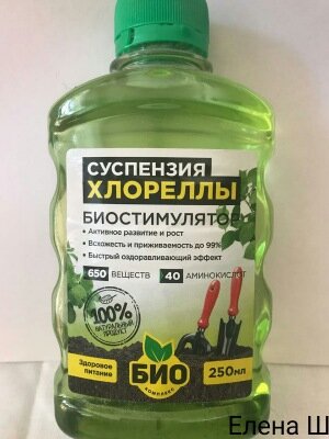 биостимулятор суспензия хлореллы фото
