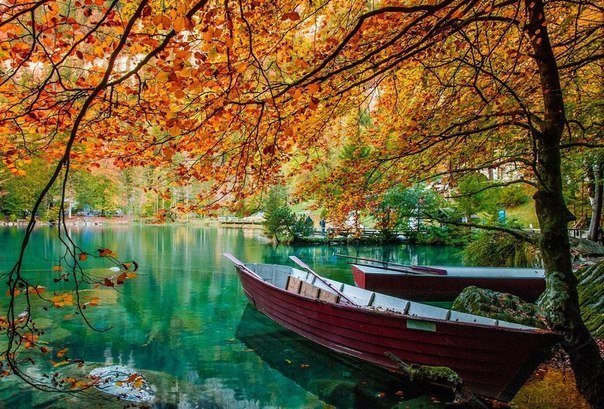 blausee autumn фото
