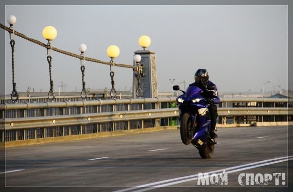bmw motorrad g310r фото