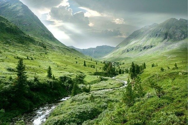 боржомское ущелье, грузия. фото