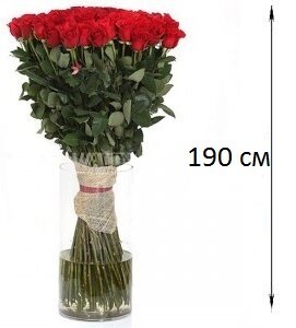 букет длинных роз фото