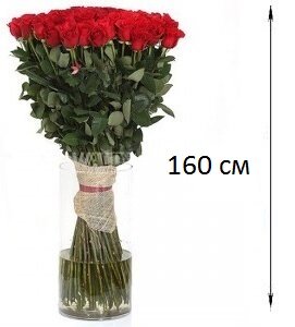 букет длинных роз фото