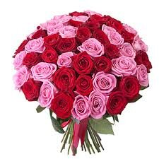 букет из красных и розовых роз фото