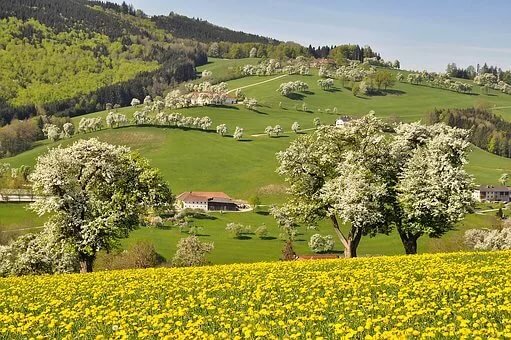 бургенланд австрия фото
