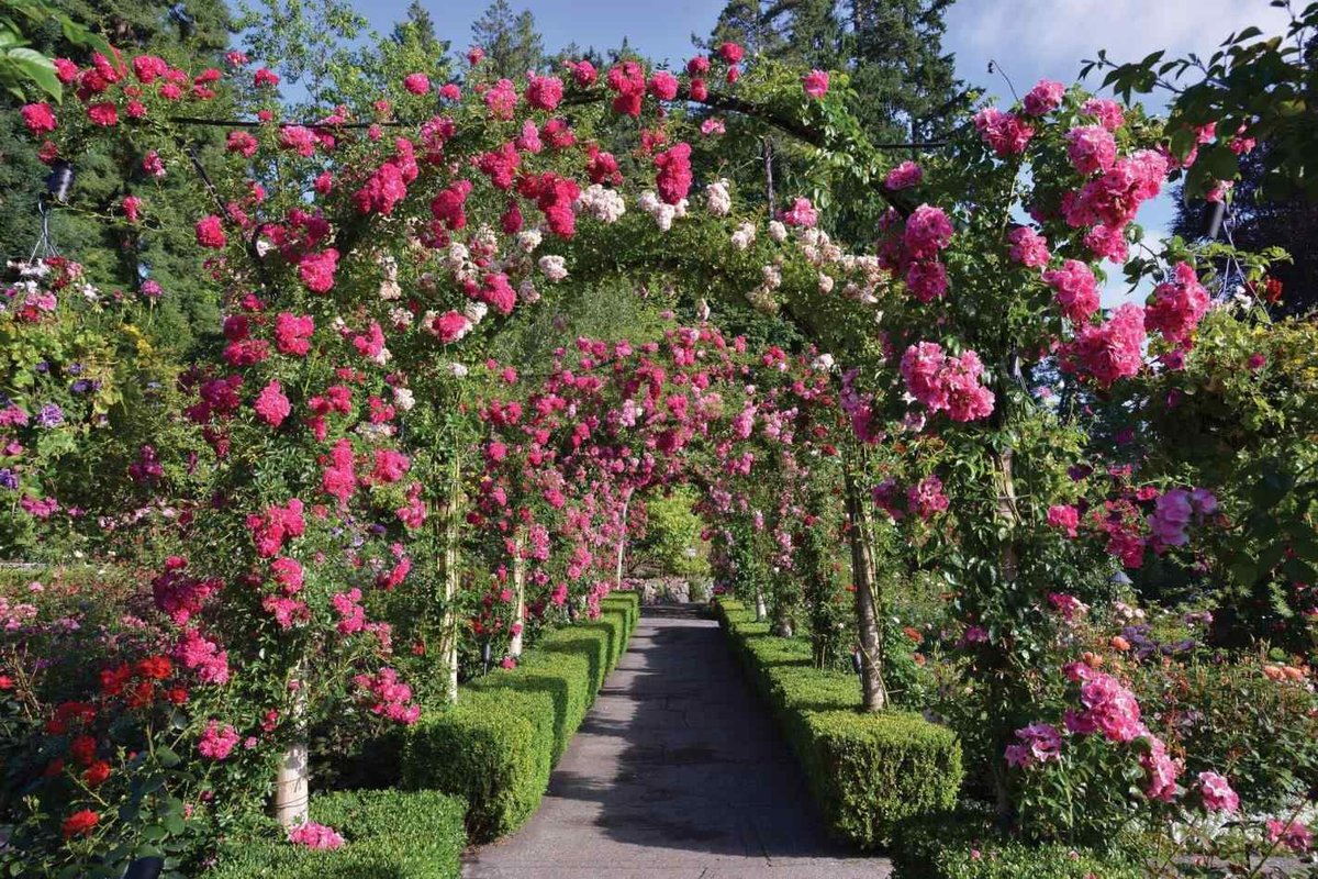 Butchart Gardens фото