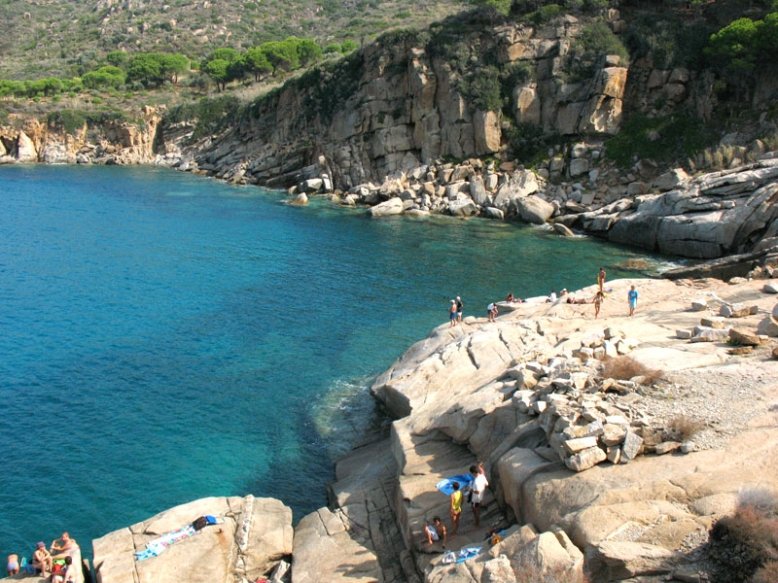 cala фото