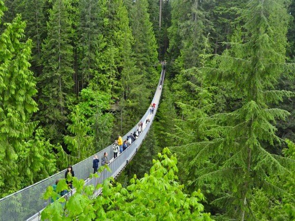 capilano suspension bridge канада фото