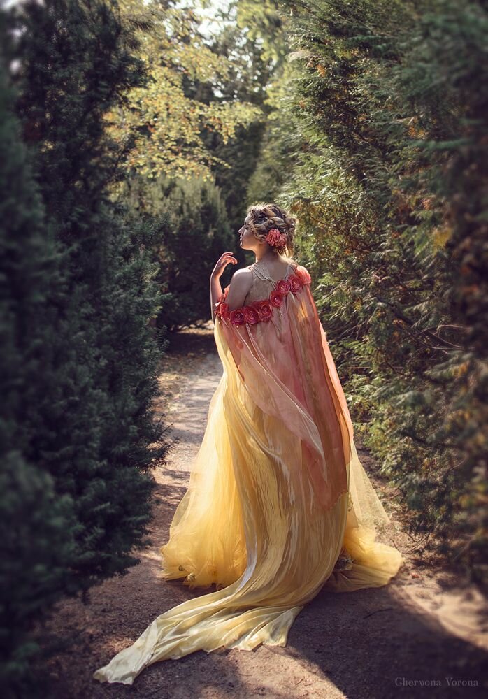 червона ворона фотограф фото