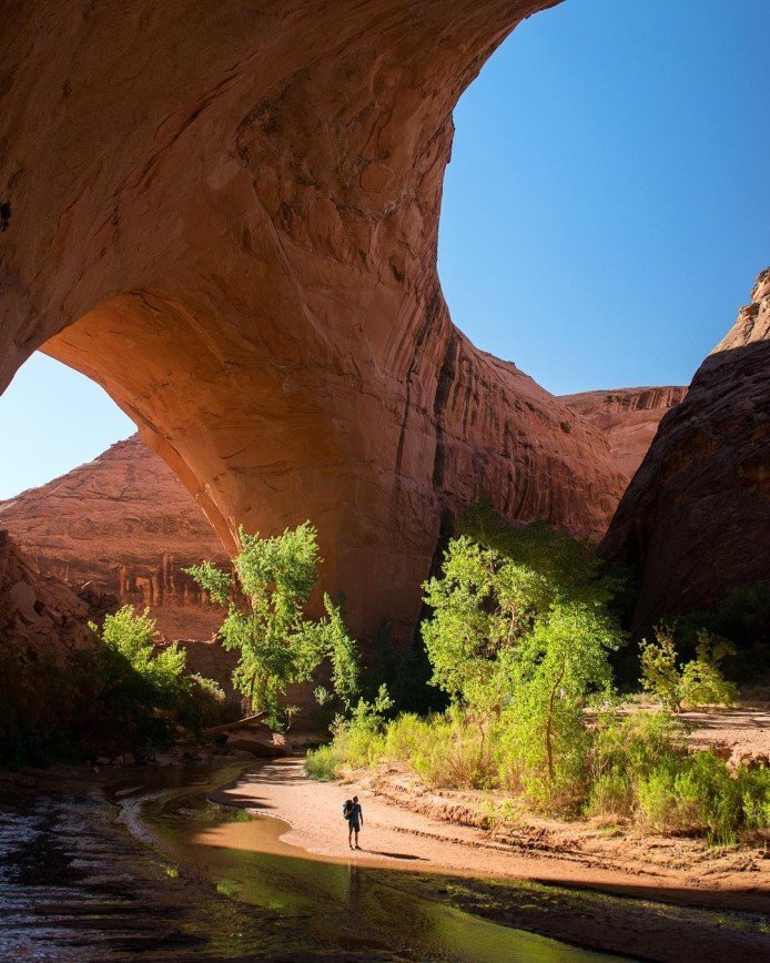Coyote Gulch фото