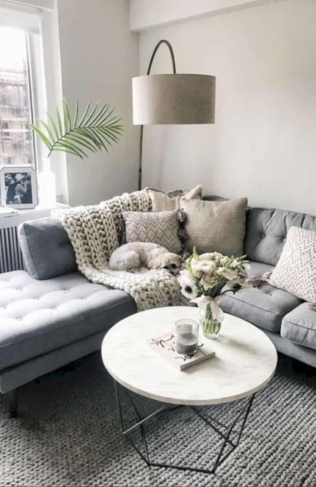 cozy small living room фото