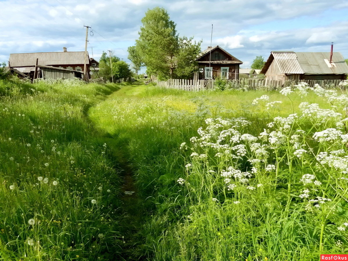 деревенская околица фото