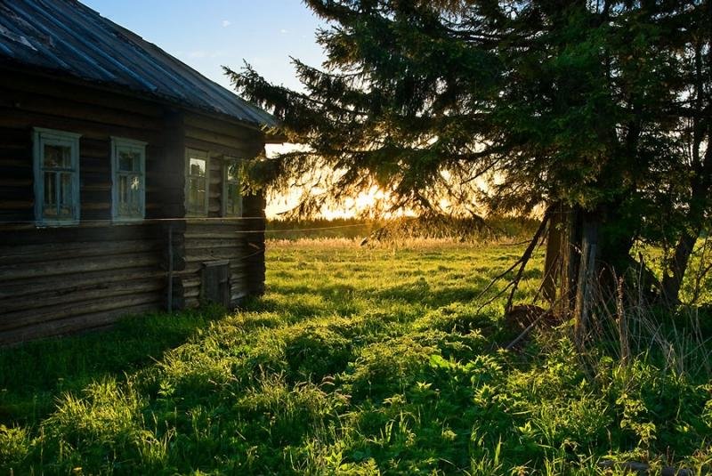 деревенский дом на окраине картинки фото