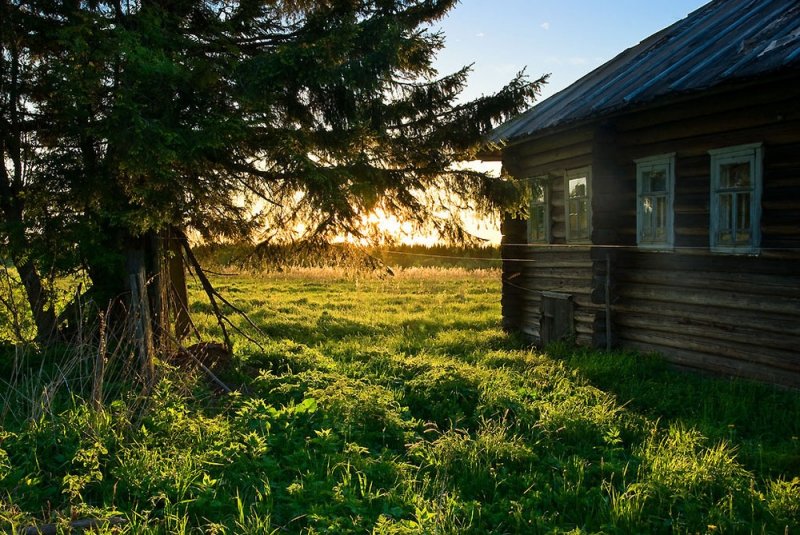 деревенский дом на окраине картинки фото