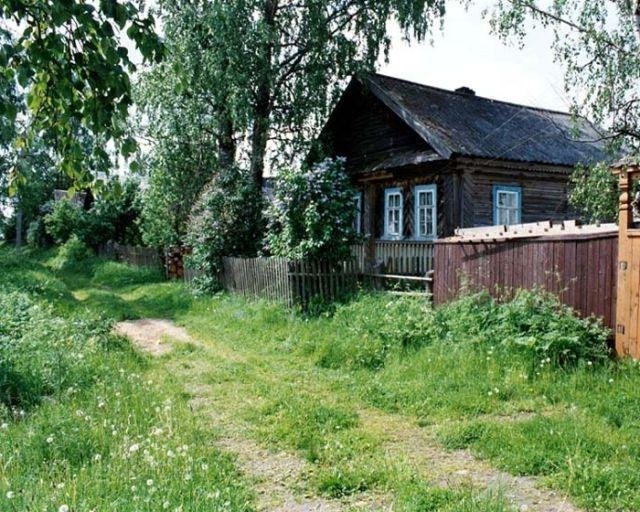 деревенский дом с березой фото