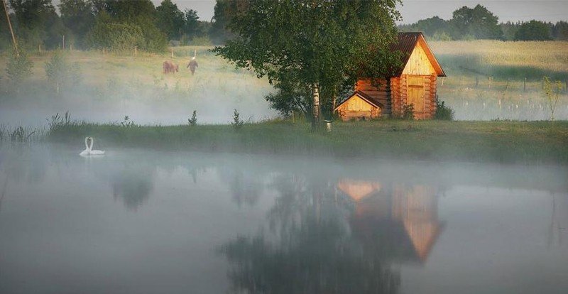деревенский дом у реки фото в тумане фото