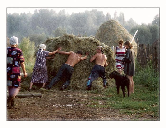 деревенский сенокос картинки фото